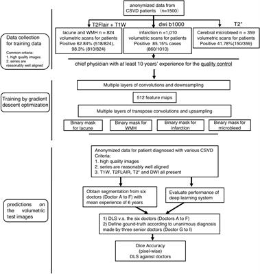 Primary Categorizing and Masking Cerebral Small Vessel Disease Based on “Deep Learning System”